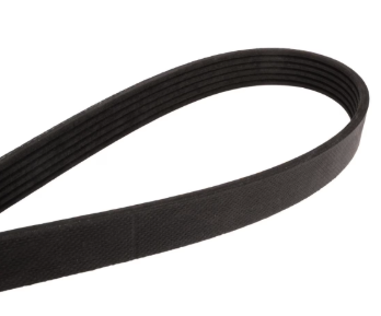 Continental Elite Poly-V cooling belt for Kenworth T800 T880, part 815.4060367, side view