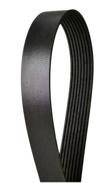 Continental Elite Poly-V serpentine cooling belt, part 815.4080560, side view