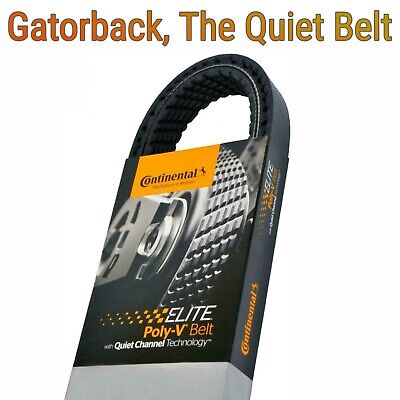 Continental Elite Poly-V cooling serpentine belt, part 815.4040320